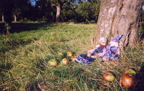 Site pictures - Kent 2004 - photo by Mary O'Brien
