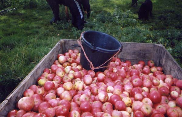 Site pictures - Kent 2004 - photo by Mary O'Brien